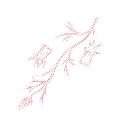 lettervec